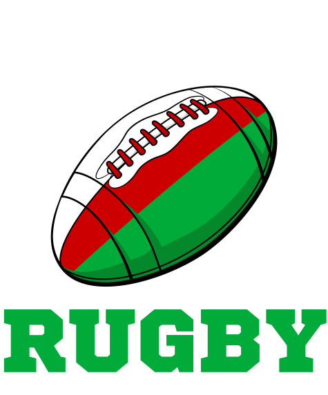 Wales Rugby Ball T-Shirt (Black) - Ladies